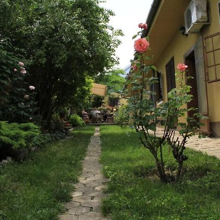Apartman Brankova Kuca 스렘스키카를로브치 외부 사진