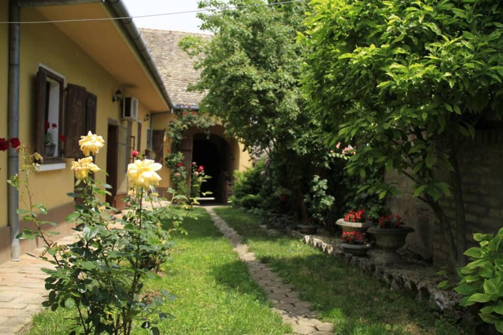 Apartman Brankova Kuca 스렘스키카를로브치 외부 사진