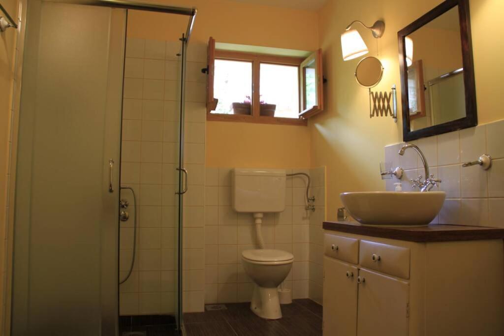 Apartman Brankova Kuca 스렘스키카를로브치 외부 사진