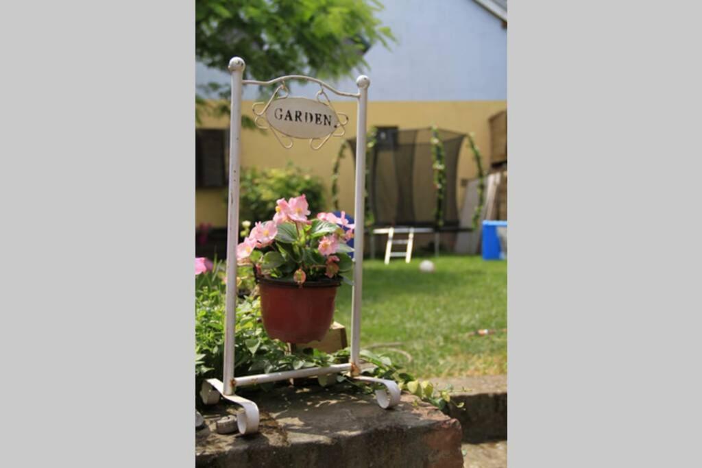 Apartman Brankova Kuca 스렘스키카를로브치 외부 사진