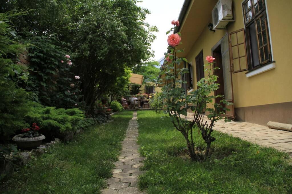 Apartman Brankova Kuca 스렘스키카를로브치 외부 사진